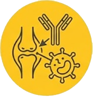 Illustration of a knee joint with ligaments on a yellow circular background, plus a virus icon nearby.